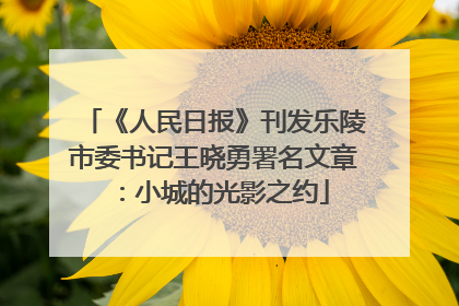《人民日报》刊发乐陵市委书记王晓勇署名文章：小城的光影之约