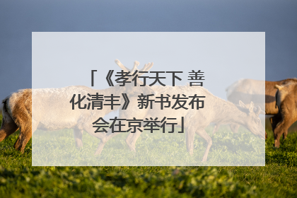 《孝行天下 善化清丰》新书发布会在京举行