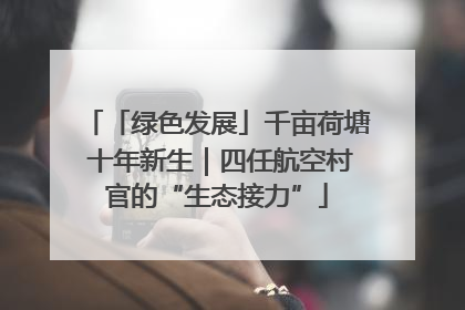 「绿色发展」千亩荷塘 十年新生｜四任航空村官的“生态接力”
