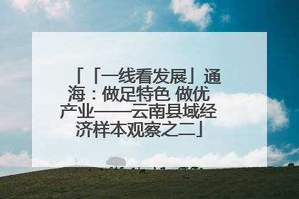 「一线看发展」通海：做足特色 做优产业——云南县域经济样本观察之二