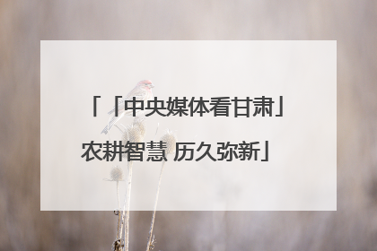 「中央媒体看甘肃」农耕智慧 历久弥新