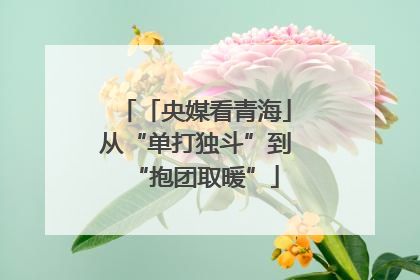 「央媒看青海」从“单打独斗”到“抱团取暖”