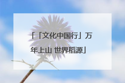 「文化中国行」万年上山 世界稻源