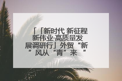 「新时代 新征程 新伟业·高质量发展调研行」外贸“新”风从“青”来 “双向奔赴”启新程