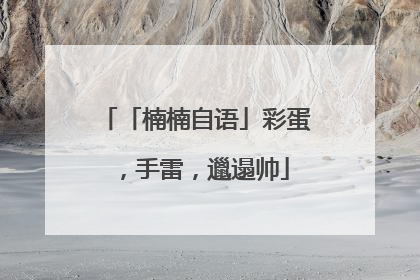 「楠楠自语」彩蛋，手雷，邋遢帅