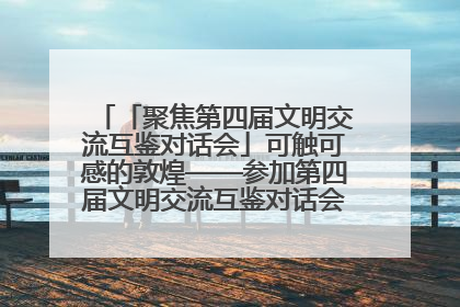 「聚焦第四届文明交流互鉴对话会」可触可感的敦煌——参加第四届文明交流互鉴对话会的外宾参观上元市集