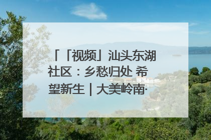 「视频」汕头东湖社区：乡愁归处 希望新生｜大美岭南·百村焕新记
