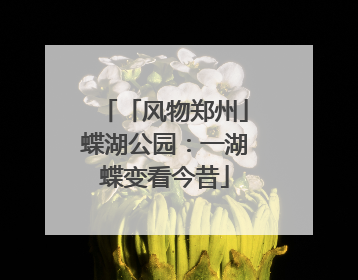 「风物郑州」蝶湖公园：一湖蝶变看今昔