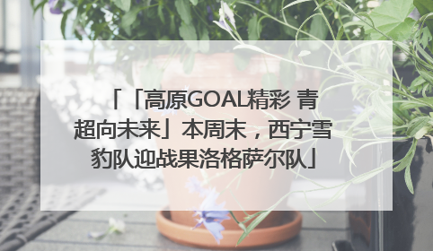 「高原GOAL精彩 青超向未来」本周末，西宁雪豹队迎战果洛格萨尔队