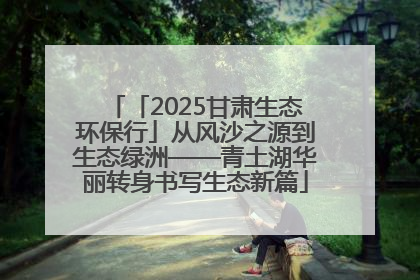 「2025甘肃生态环保行」从风沙之源到生态绿洲——青土湖华丽转身书写生态新篇