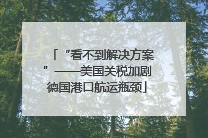 “看不到解决方案”——美国关税加剧德国港口航运瓶颈