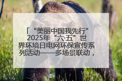 “美丽中国我先行” 2025年“六·五”世界环境日电网环保宣传系列活动——多场景联动，共筑生态发展新图景