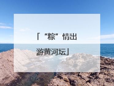 “粽”情出游黄河坛