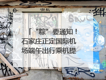 “粽”要通知！石家庄正定国际机场端午出行乘机提示，快来get