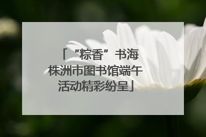 “粽香”书海 株洲市图书馆端午活动精彩纷呈