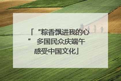 “粽香飘进我的心” 多国民众庆端午感受中国文化