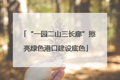 “一园二山三长廊”擦亮绿色港口建设底色