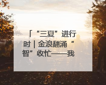 “三夏”进行时｜金浪翻涌“智”收忙——我市小麦开镰收割见闻