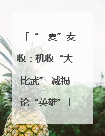“三夏”麦收：机收“大比武” 减损论“英雄”
