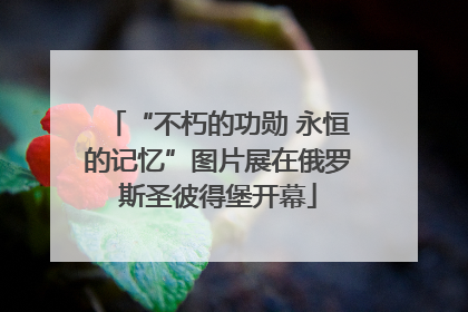 “不朽的功勋 永恒的记忆”图片展在俄罗斯圣彼得堡开幕