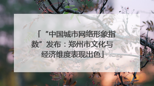 “中国城市网络形象指数”发布：郑州市文化与经济维度表现出色