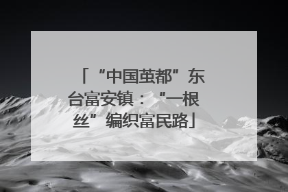 “中国茧都”东台富安镇：“一根丝”编织富民路