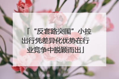 “反套路突围”小拉出行凭差异化优势在行业竞争中脱颖而出