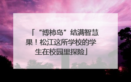 “博柿岛”结满智慧果！松江这所学校的学生在校园里探险