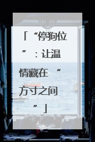 “停狗位 ”：让温情藏在 “方寸之间 ”