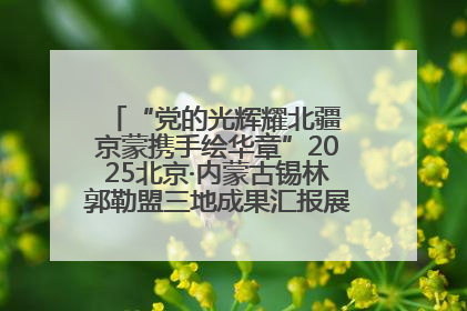 “党的光辉耀北疆 京蒙携手绘华章”2025北京·内蒙古锡林郭勒盟三地成果汇报展系列活动启动