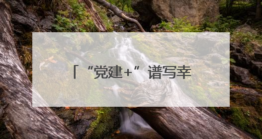 “党建+”谱写幸福莲滨——福建新罗南城街道莲滨社区创新治理模式探访