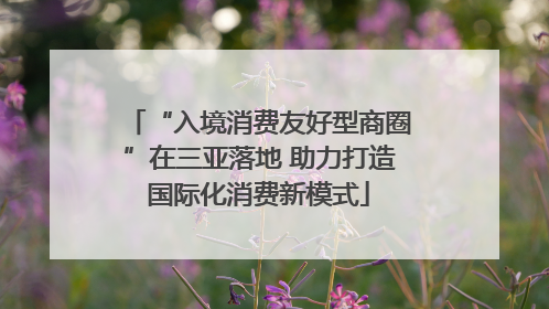 “入境消费友好型商圈”在三亚落地 助力打造国际化消费新模式