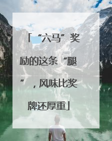 “六马”奖励的这条“腿”，风味比奖牌还厚重