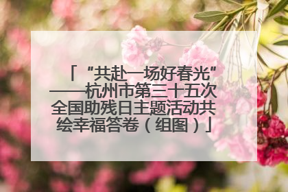 “共赴一场好春光”——杭州市第三十五次全国助残日主题活动共绘幸福答卷（组图）