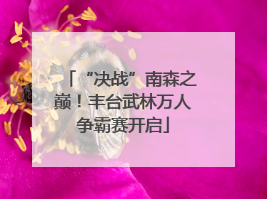 “决战”南森之巅！丰台武林万人争霸赛开启