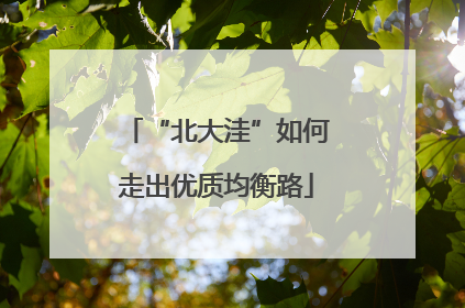 “北大洼”如何走出优质均衡路