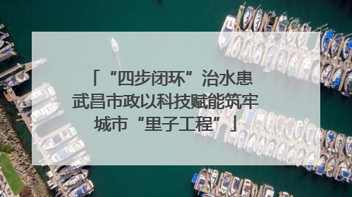 “四步闭环”治水患 武昌市政以科技赋能筑牢城市“里子工程”