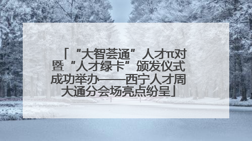 “大智荟通”人才π对暨“人才绿卡”颁发仪式成功举办——西宁人才周大通分会场亮点纷呈
