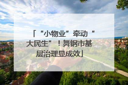 “小物业”牵动“大民生”！舞钢市基层治理显成效