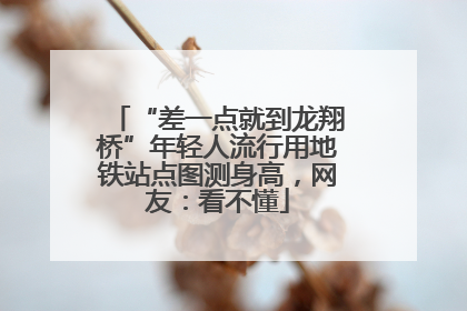 “差一点就到龙翔桥”年轻人流行用地铁站点图测身高，网友：看不懂