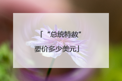 “总统特赦”要价多少美元