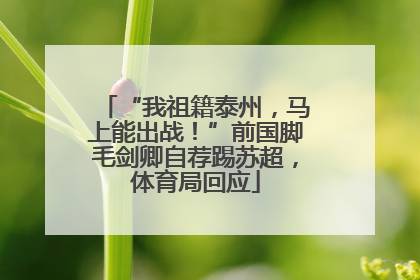 “我祖籍泰州，马上能出战！”前国脚毛剑卿自荐踢苏超，体育局回应