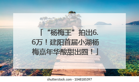 “杨梅王”拍出6.6万！建阳首届小湖杨梅嘉年华酸甜出圈！