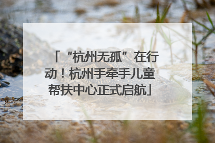 “杭州无孤”在行动！杭州手牵手儿童帮扶中心正式启航