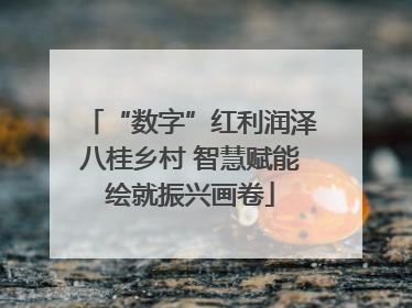 “数字”红利润泽八桂乡村 智慧赋能绘就振兴画卷