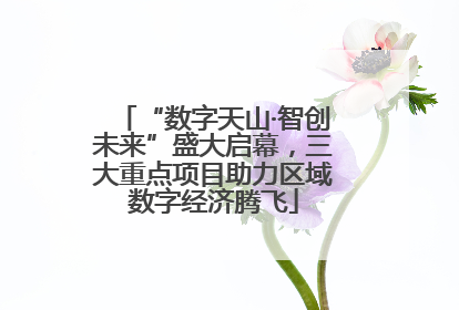 “数字天山·智创未来”盛大启幕，三大重点项目助力区域数字经济腾飞