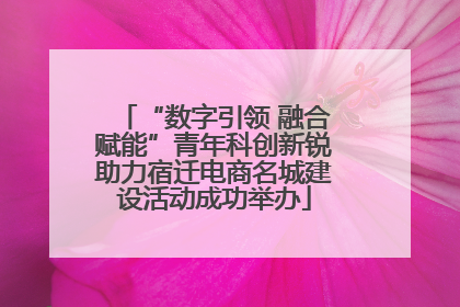 “数字引领 融合赋能”青年科创新锐助力宿迁电商名城建设活动成功举办