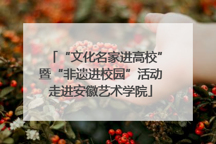 “文化名家进高校”暨“非遗进校园”活动走进安徽艺术学院