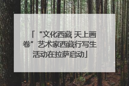 “文化西藏 天上画卷”艺术家西藏行写生活动在拉萨启动