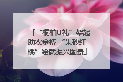 “桐柏U礼”架起助农金桥 “朱砂红桃”绘就振兴图景